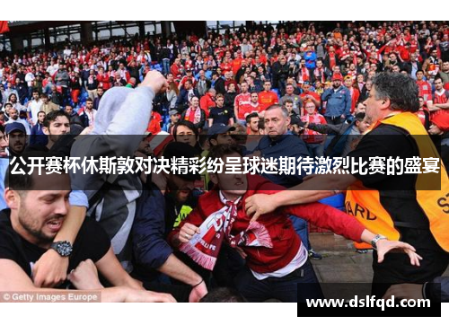 公开赛杯休斯敦对决精彩纷呈球迷期待激烈比赛的盛宴