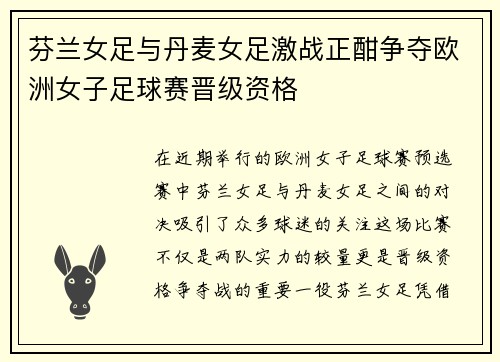 芬兰女足与丹麦女足激战正酣争夺欧洲女子足球赛晋级资格